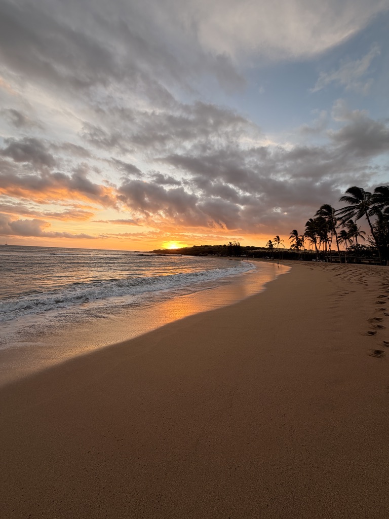 Sunset over a beach lined with palm trees